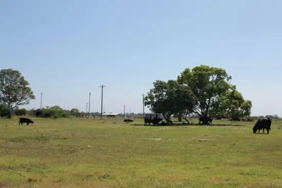 Third view of Homely land listing, lot 5 Forest Street, Coraki NSW 2471
