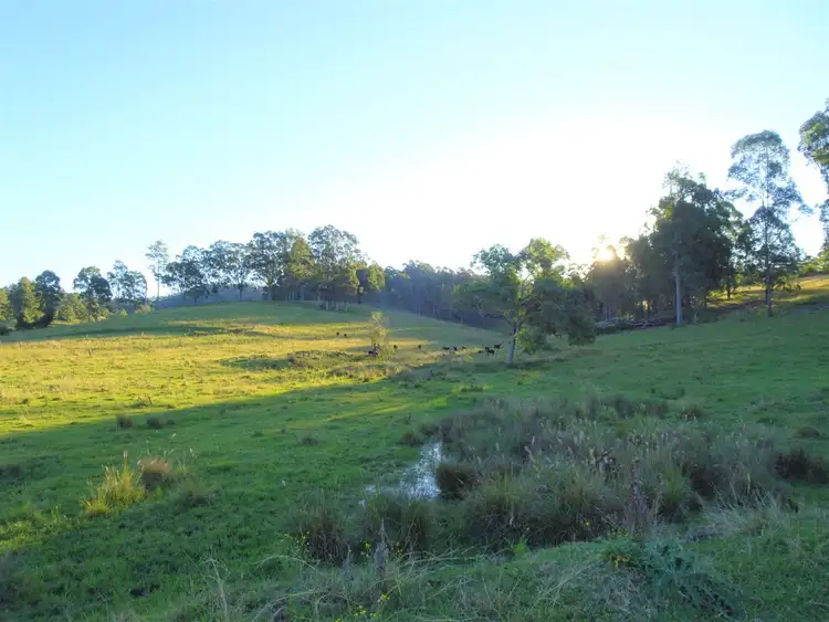 Third view of Homely rural property listing, 2634 Coaldale Road, Coaldale NSW 2460