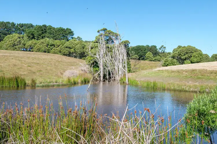 Fourth view of Homely rural property listing, 4880 Great Ocean Road, Lavers Hill VIC 3238