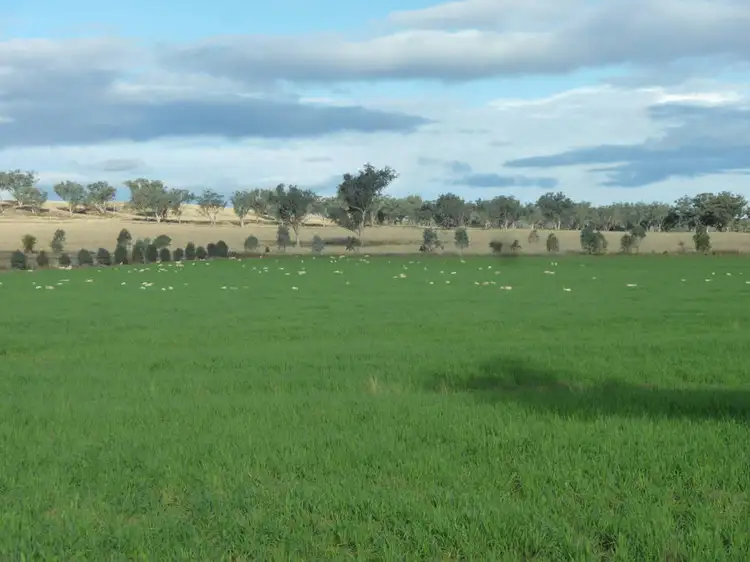 Second view of Homely rural property listing, ROSEVILLE PARK, Tamworth NSW 2340