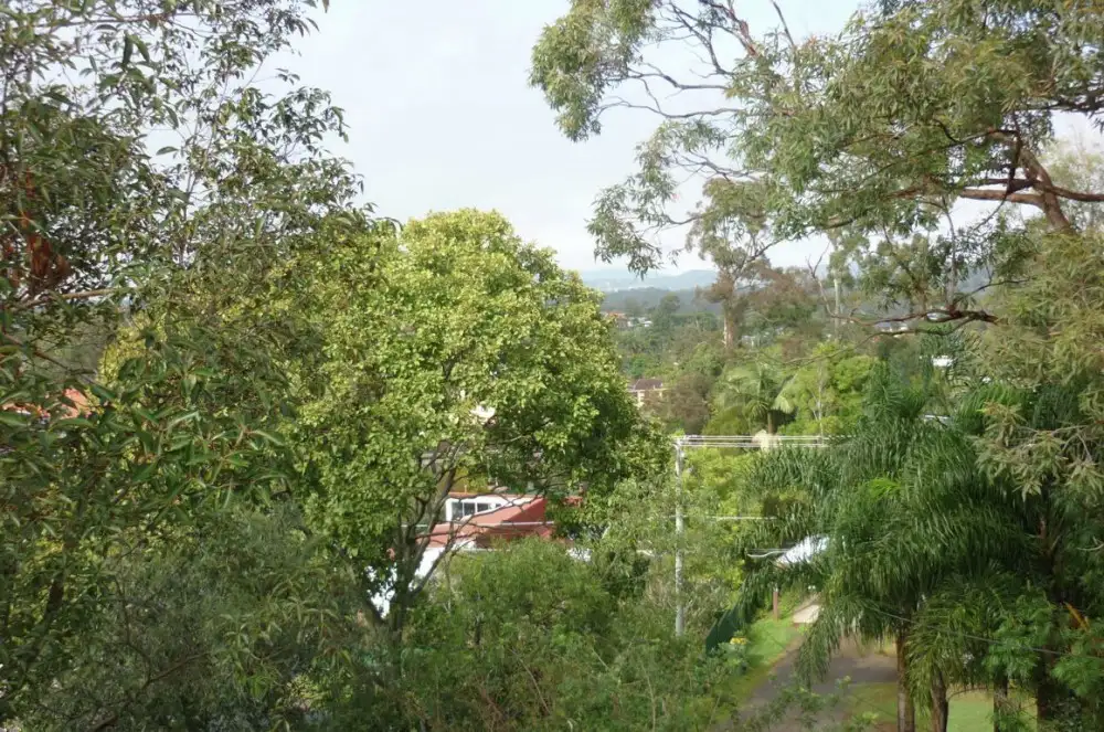 Main view of Homely house listing, 28 Celandine Street, Shailer Park QLD 4128