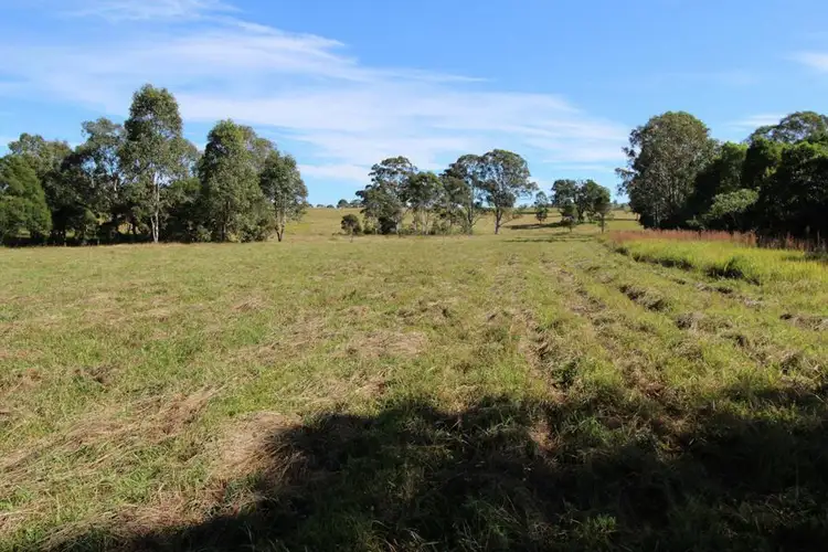 Second view of Homely rural property listing, 1454 Willina Rd, Bunyah NSW 2429