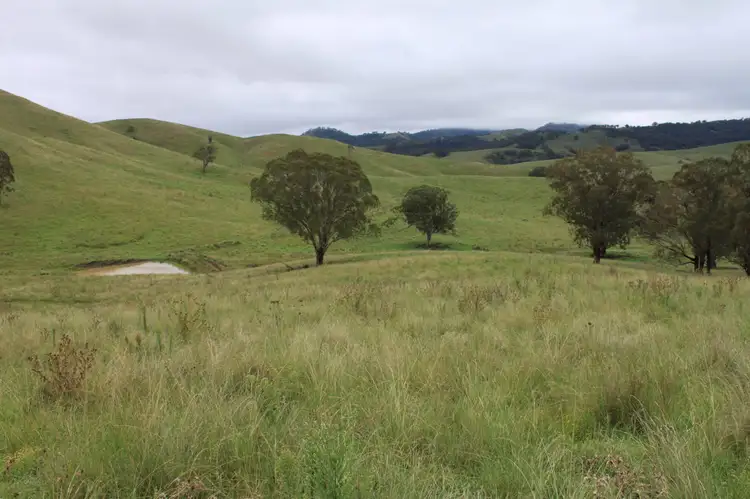 Third view of Homely rural property listing, 1 One Tree, Timor NSW 2338