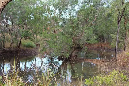 Seventh view of Homely rural property listing, 745 Dorat Road, Adelaide River NT 846