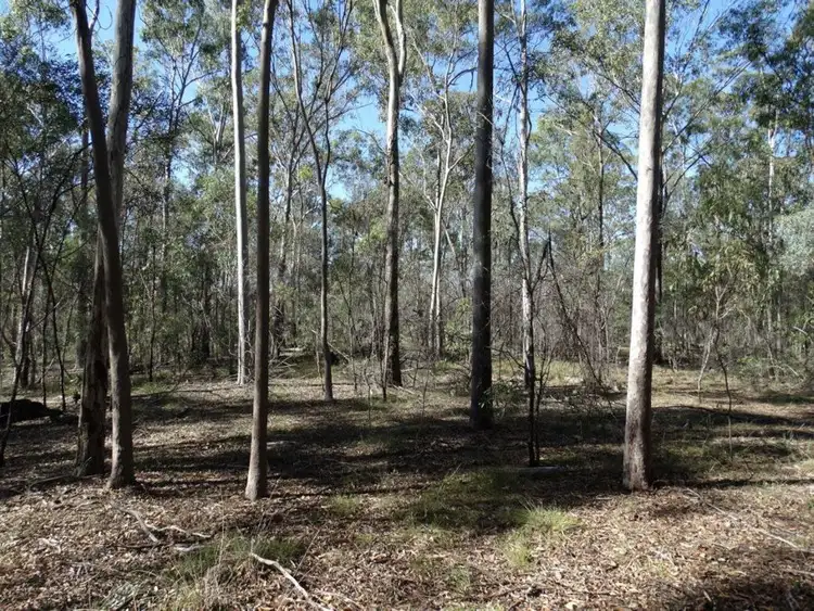 Seventh view of Homely rural property listing, Lot 4 Monduran Road, Monduran QLD 4671