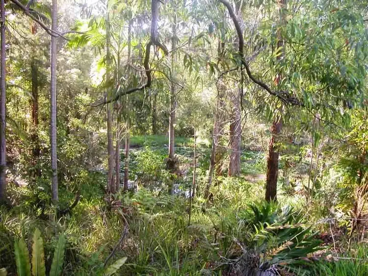 Main view of Homely rural property listing, Lot 1 Fuerte Drive, Valla NSW 2448