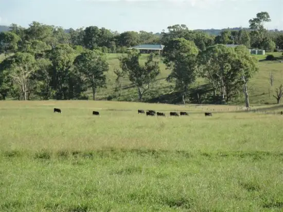 Third view of Homely rural property listing, 80 Scotts Creek Road, Blandford NSW 2338