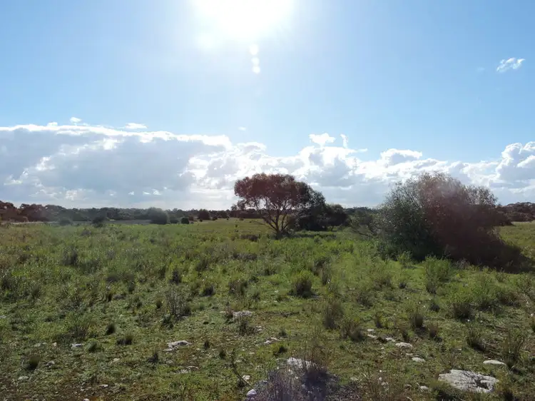 Third view of Homely rural property listing, Lot 4 Off Princes Highway, Tailem Bend SA 5259