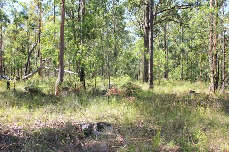 Second view of Homely rural property listing, Lot 2, 3850 Pacific Highway, Corindi Beach NSW 2456
