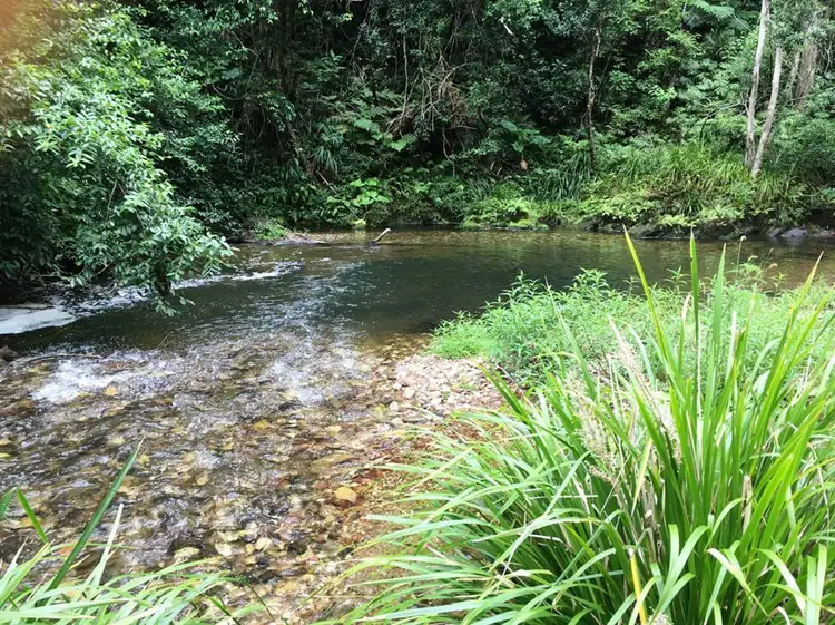 2126 Kalang Road,Kalang, Bellingen NSW 2454
