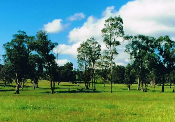 Third view of Homely rural property listing, 524 Westbrook  Road, Guyra NSW 2365