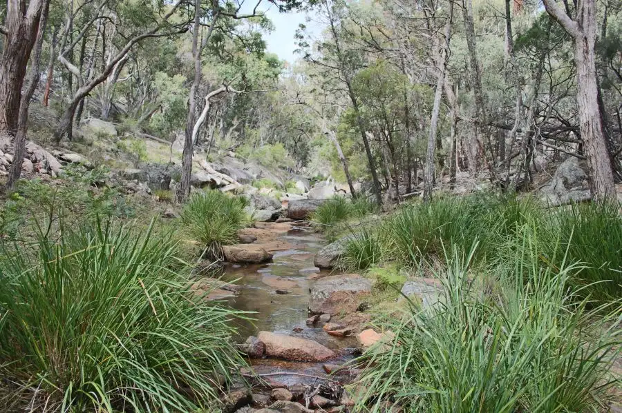Main view of Homely rural property listing, 350 Gunyah Road, Tenterfield NSW 2372