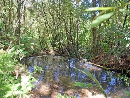 Fourth view of Homely rural property listing, 197 Springs Road, Kulnura NSW 2250