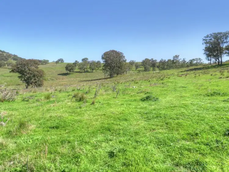 Third view of Homely rural property listing, 603 Snakes Valley Road, Tenterfield NSW 2372