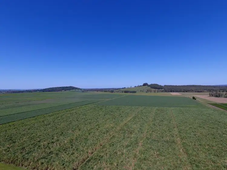 Third view of Homely rural property listing, Bungawalbin-Whiporie Road, Coraki NSW 2471