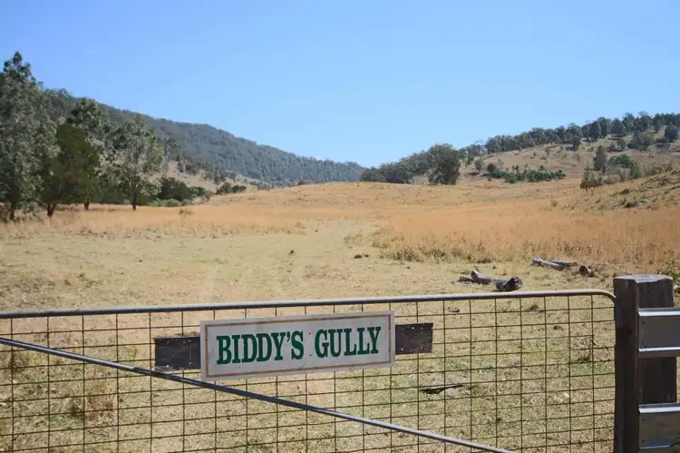 Third view of Homely rural property listing, 460 Boorook Road, Tenterfield NSW 2372