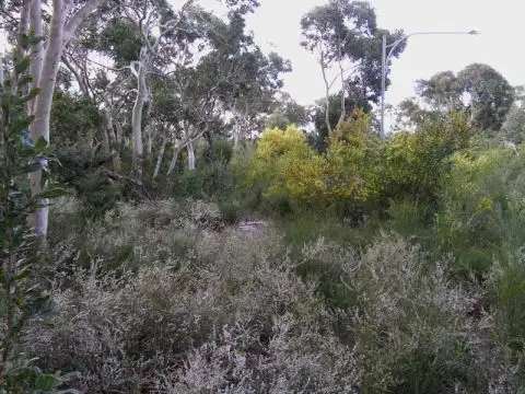 Sixth view of Homely land listing, 3 Caffery Circuit, Callala Beach NSW 2540