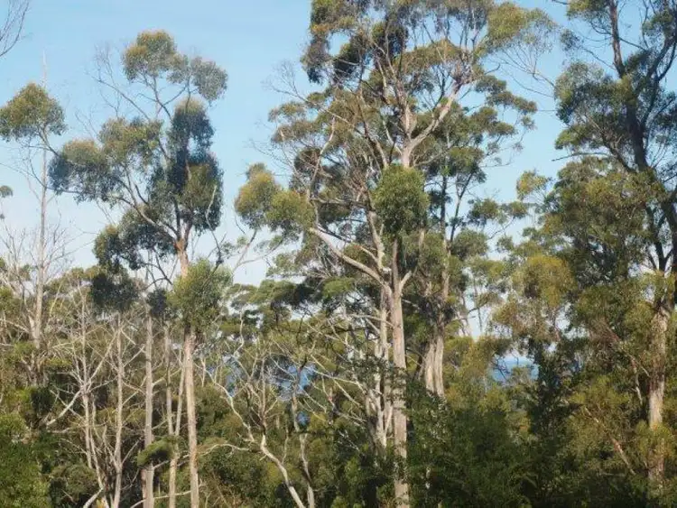 Seventh view of Homely land listing, 9 Pirates Bay Drive, Eaglehawk Neck TAS 7179