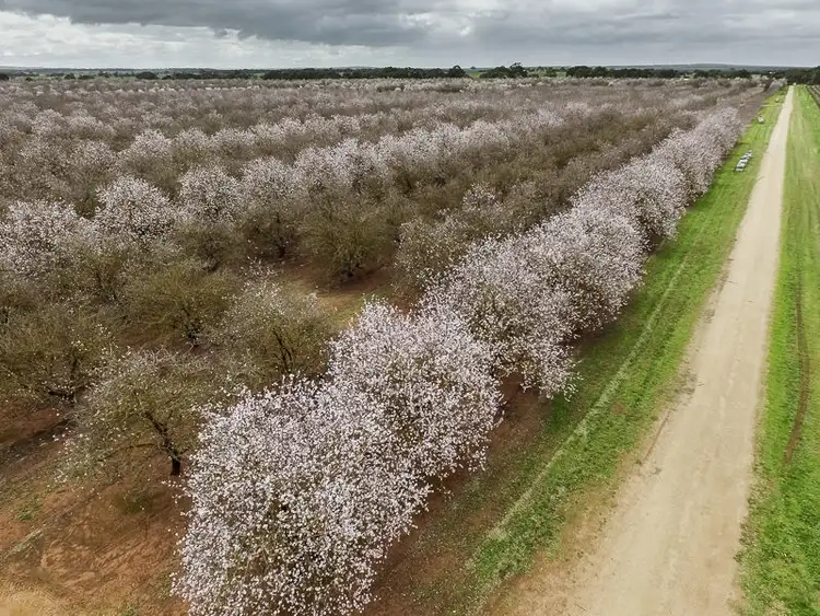 Sixth view of Homely rural property listing, 753 Meechi Road, Langhorne Creek SA 5255