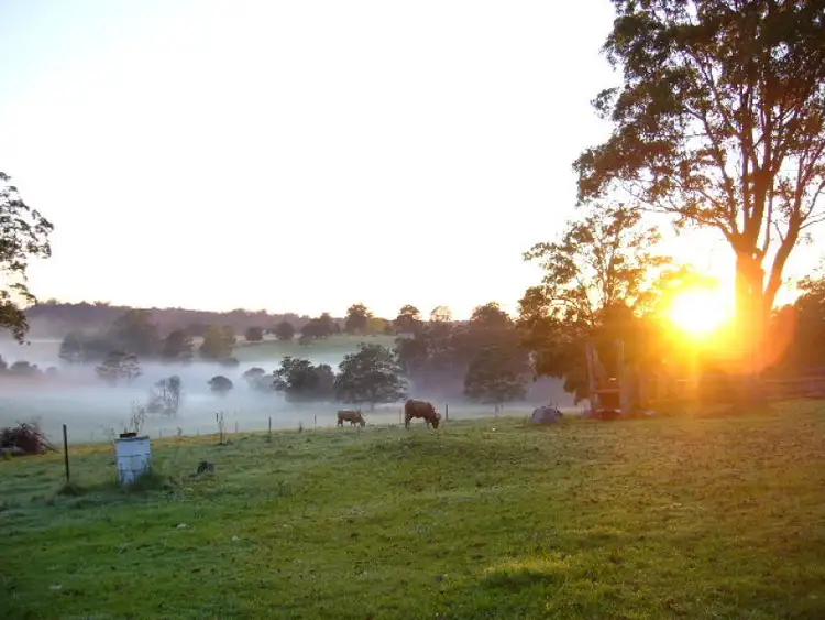 Fourth view of Homely rural property listing, 400 Wilson Road, Macksville NSW 2447