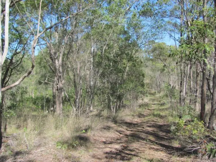 Seventh view of Homely rural property listing, 1415 Hills Road, Euleilah QLD 4674