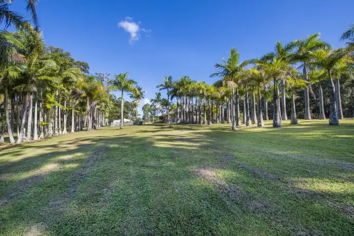 Second view of Homely rural property listing, 98 Tramway Drive, Woolgoolga NSW 2456
