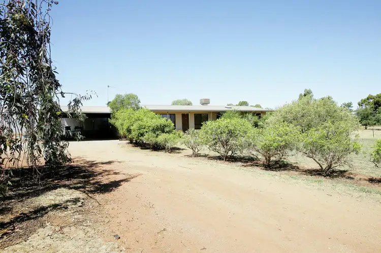 1-3 Wattle Lane, Coolamon NSW 2701