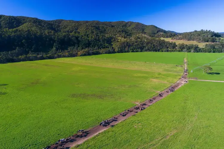 Fourth view of Homely rural property listing, 70 HECTARES Churchills Road, Long Flat NSW 2446