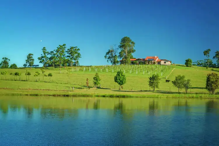 Third view of Homely house listing, 373 Mardells Road, Bucca NSW 2450