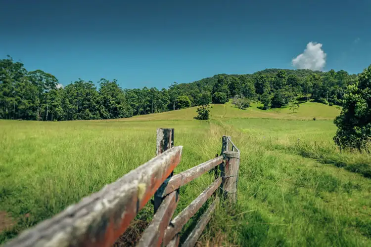 1620 Kalang Road, Bellingen NSW 2454