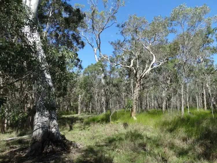 Third view of Homely rural property listing, Lot 157 Capricornia Drive, Deepwater QLD 4674