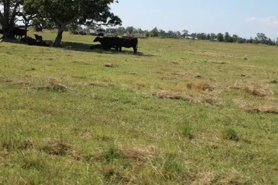 Fifth view of Homely land listing, lot 5 Forest Street, Coraki NSW 2471