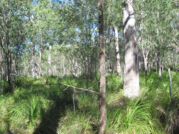 Third view of Homely rural property listing, Lot 77 Pacific Drive, Deepwater QLD 4674