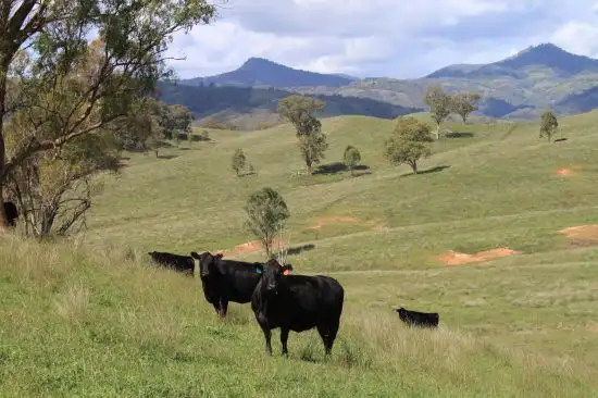 Seventh view of Homely rural property listing, Address available on request