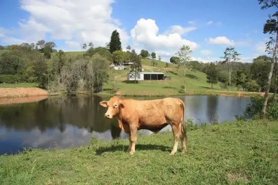 Main view of Homely rural property listing, 289 Ironstone Creek Road, Tuchekoi QLD 4570