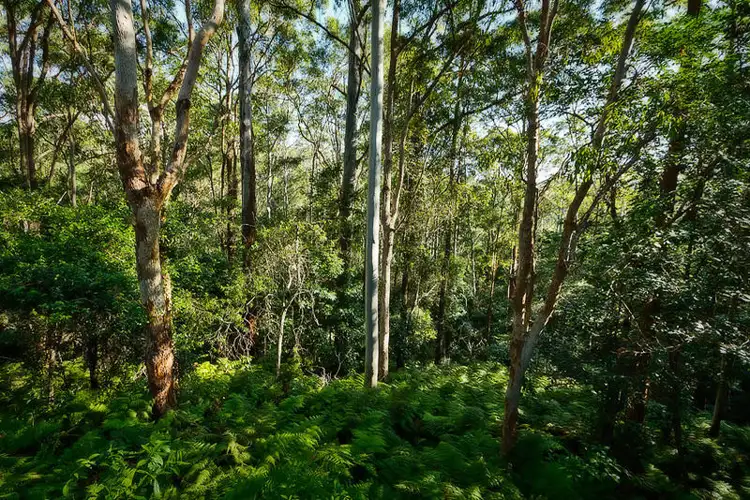 Fourth view of Homely land listing, 16 Mount Street, Fernmount NSW 2454