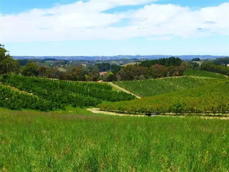 Fifth view of Homely rural property listing, L2/100 Plummers Road, Lenswood SA 5240