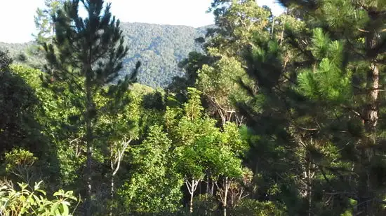 Fourth view of Homely land listing, 1412 Mossman - Mount Molloy Road, Julatten QLD 4871