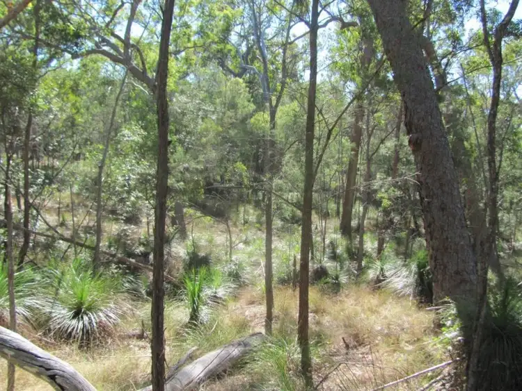 Seventh view of Homely rural property listing, Lot 77 Pacific Drive, Deepwater QLD 4674