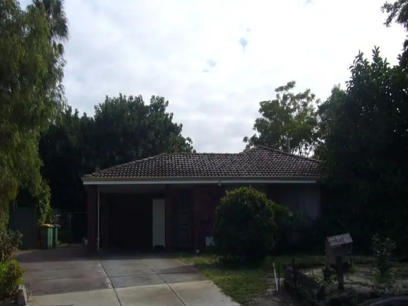 Main view of Homely house listing, 13 Tonbridge Way, Morley WA 6062