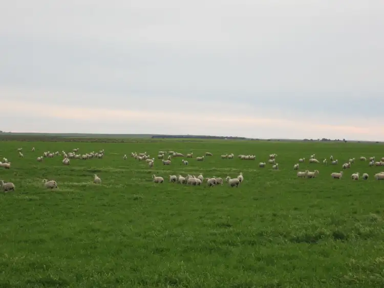 Third view of Homely rural property listing, Princes Highway, Wellington East SA 5259