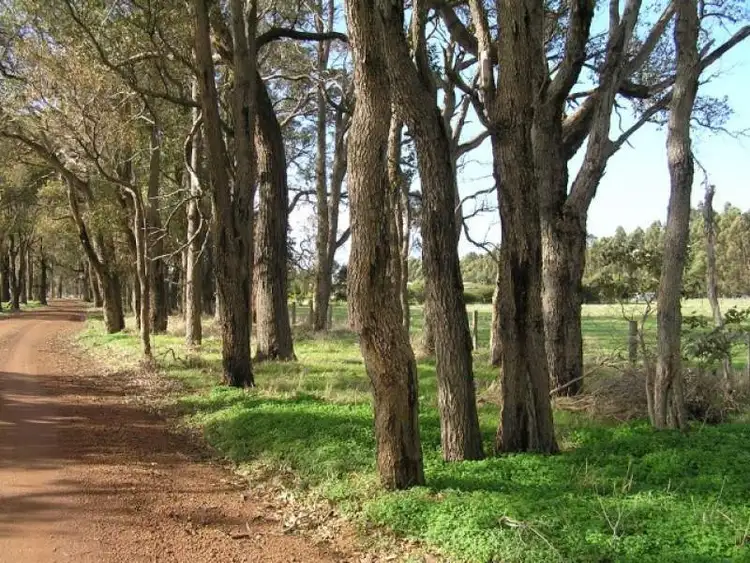 Fifth view of Homely land listing, 3/Lot 63 Layman Road   11053c, Capel WA 6271