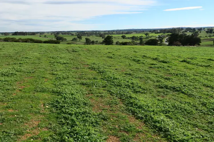 Third view of Homely rural property listing, Lot 13a Cape Clear Illabarook Rd, Illabarook VIC 3351