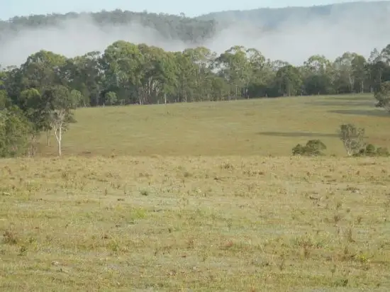 Second view of Homely rural property listing, 182 Plain Station Road, Tabulam NSW 2469