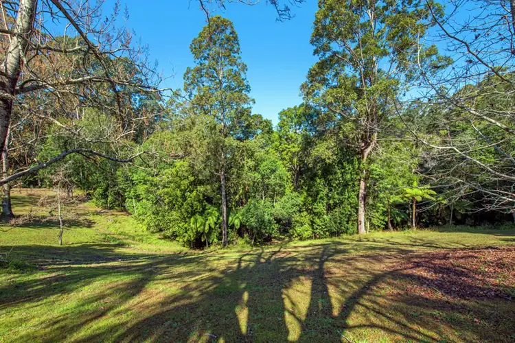 Third view of Homely house listing, 330 Roses Road, Bellingen NSW 2454