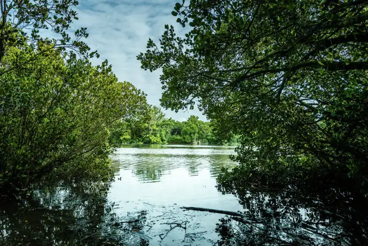 Sixth view of Homely house listing, 56 Old Pacific Highway, Raleigh NSW 2454