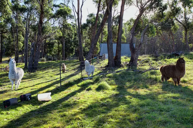 Fourth view of Homely land listing, Lot 1 Prebbles Road, Copping TAS 7174