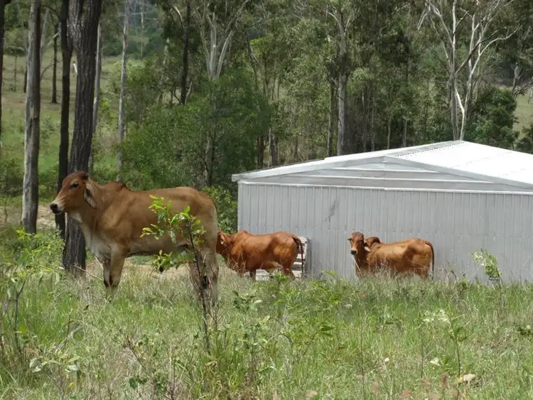 Second view of Homely rural property listing, 909 Hills Road, Mount Maria QLD 4674