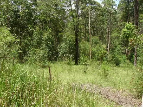 Main view of Homely land listing, 211 LONG GULLY ROAD, Drake NSW 2469