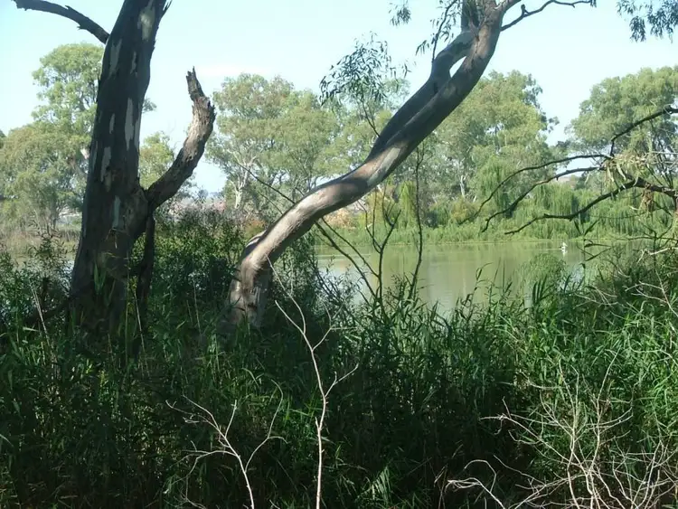 Seventh view of Homely land listing, 367 Weidenhofer, Ponde SA 5238